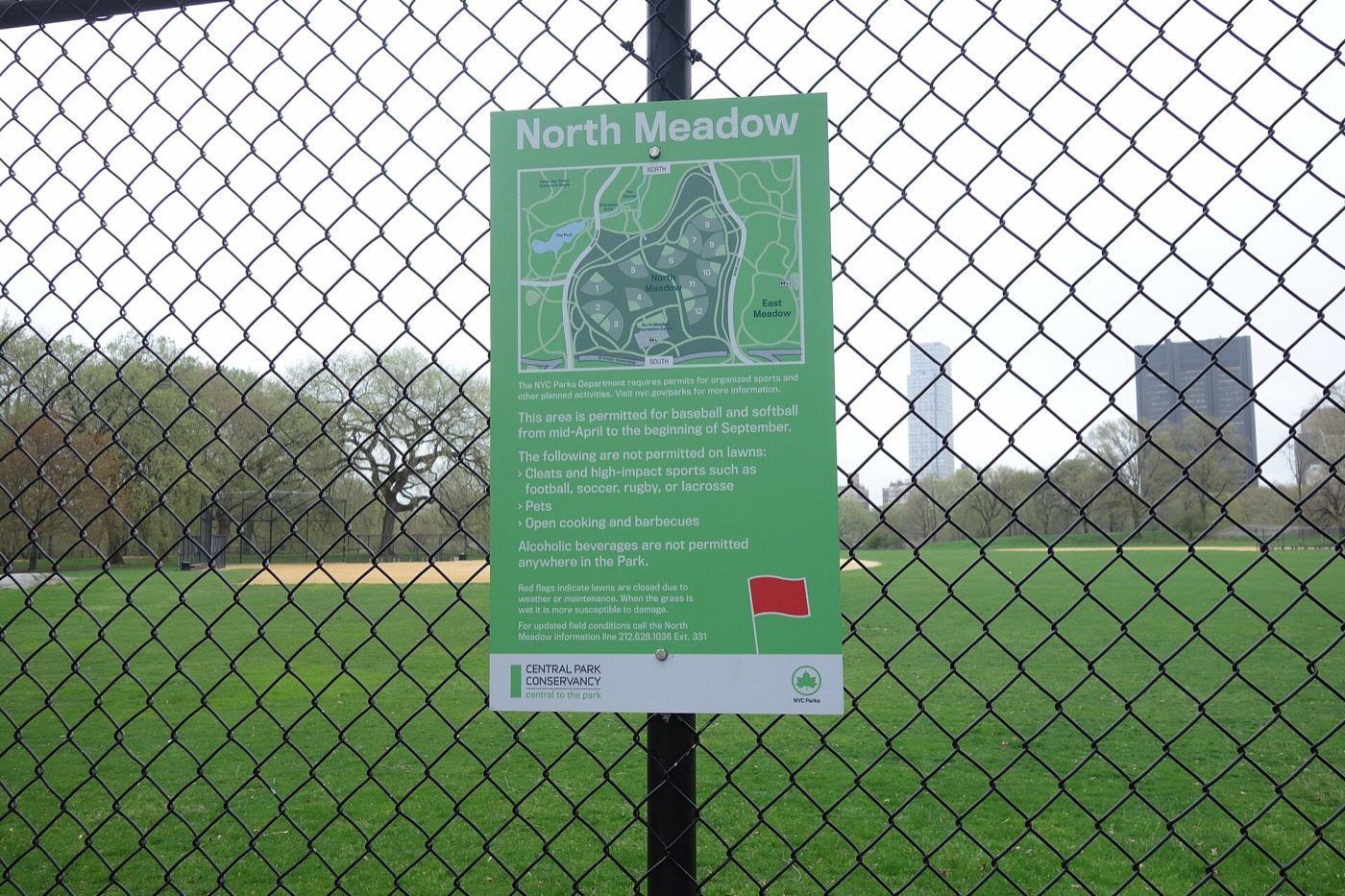 Central Park North Meadow