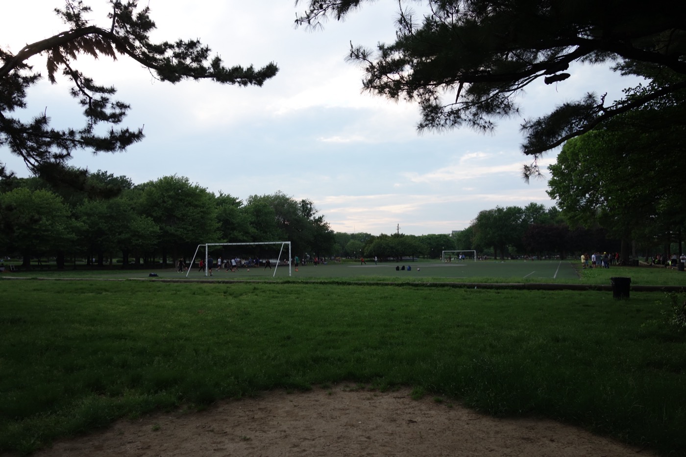 Flushing Fields