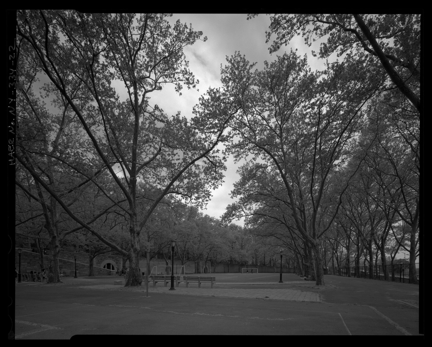Riverside Park Fields