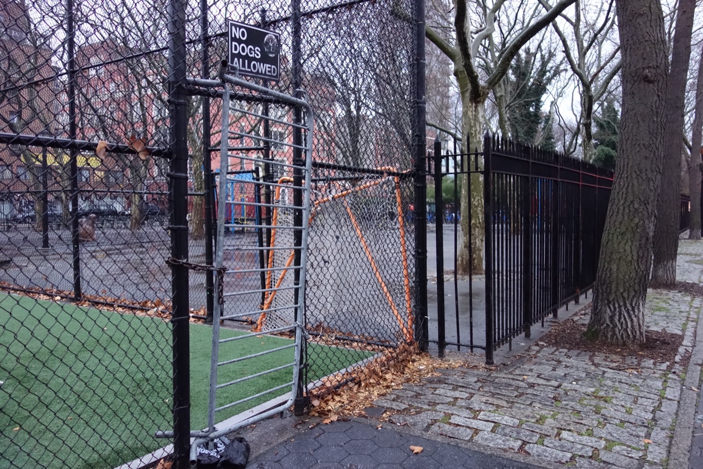 Sara D. Roosevelt Park