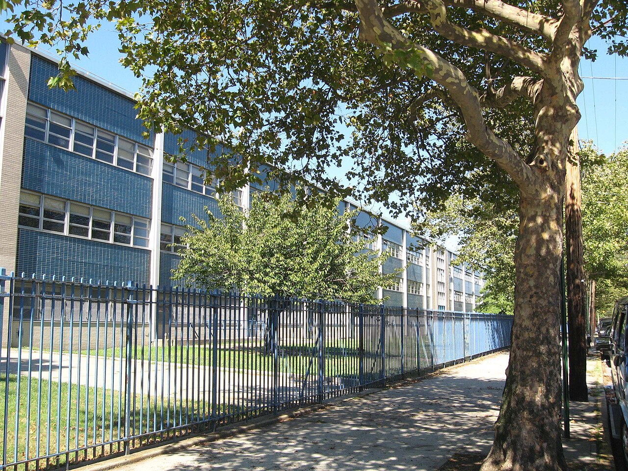 Wilson Playground