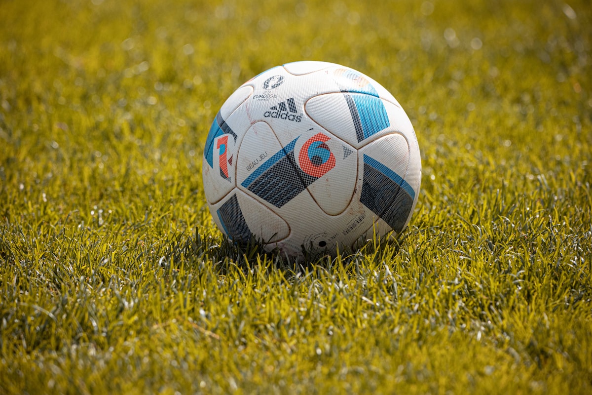 Soccer ball on grass