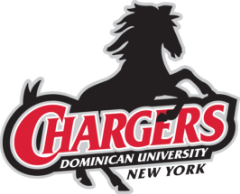 Dominican University New York Soccer logo