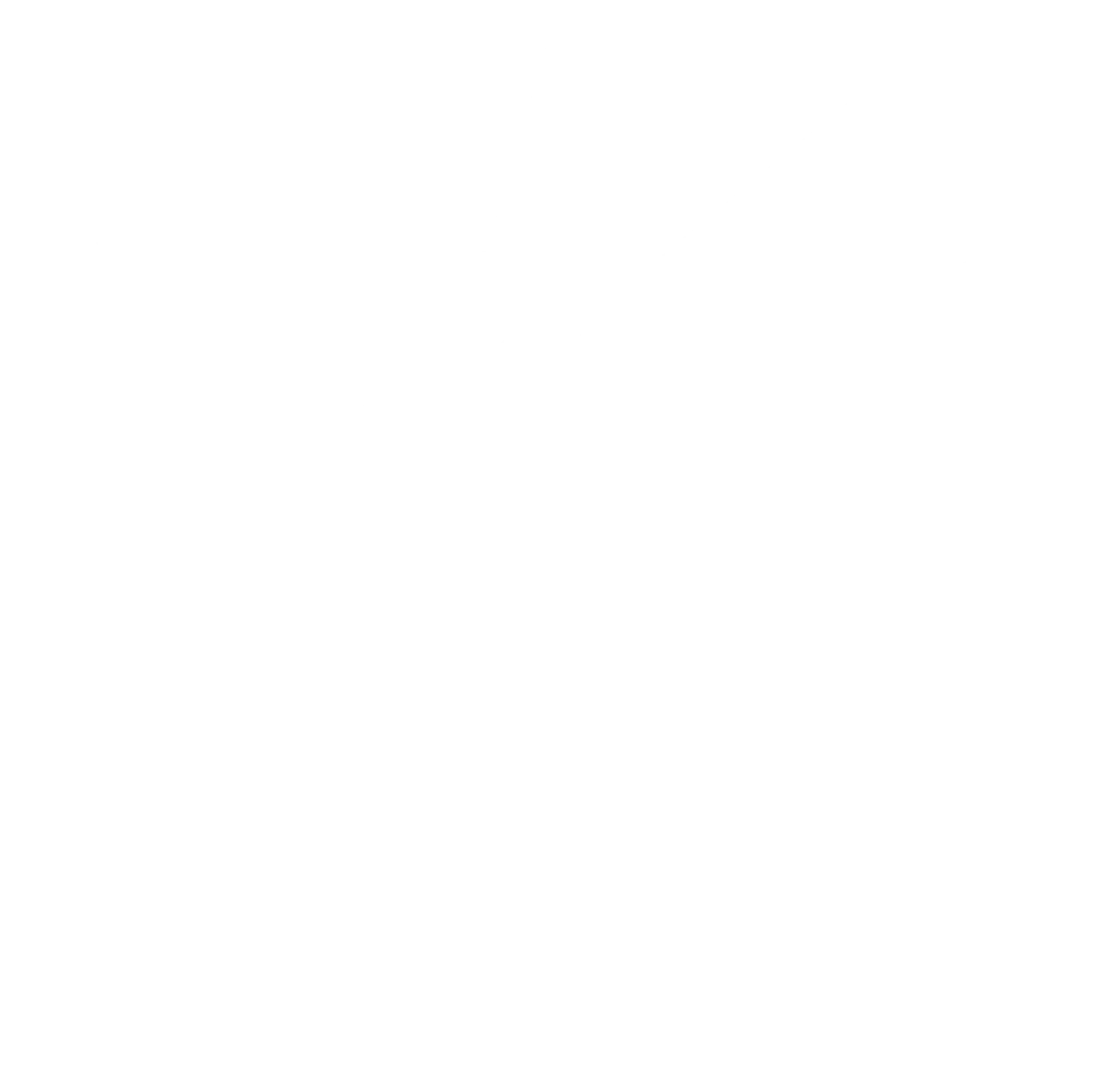 Metro Soccer NY logo