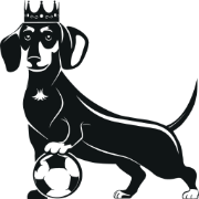 NYC Soccer Queens Coed League logo