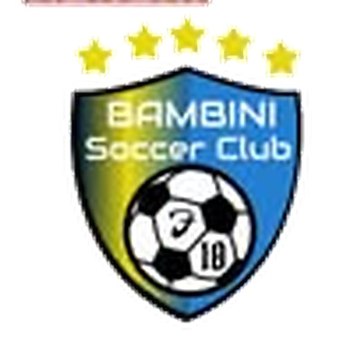 Bambini Soccer Academy logo