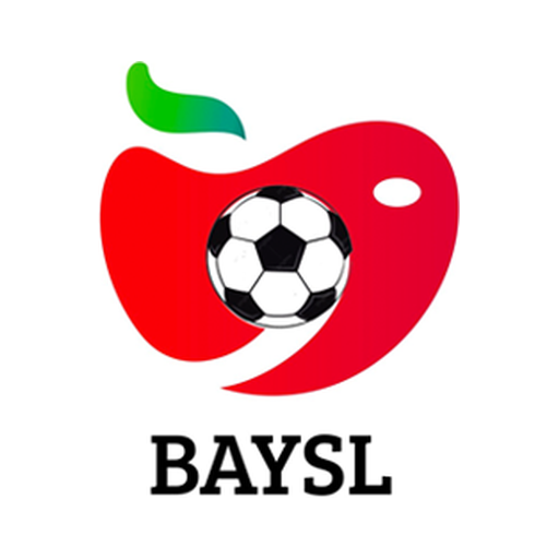 Big Apple Youth Soccer League logo