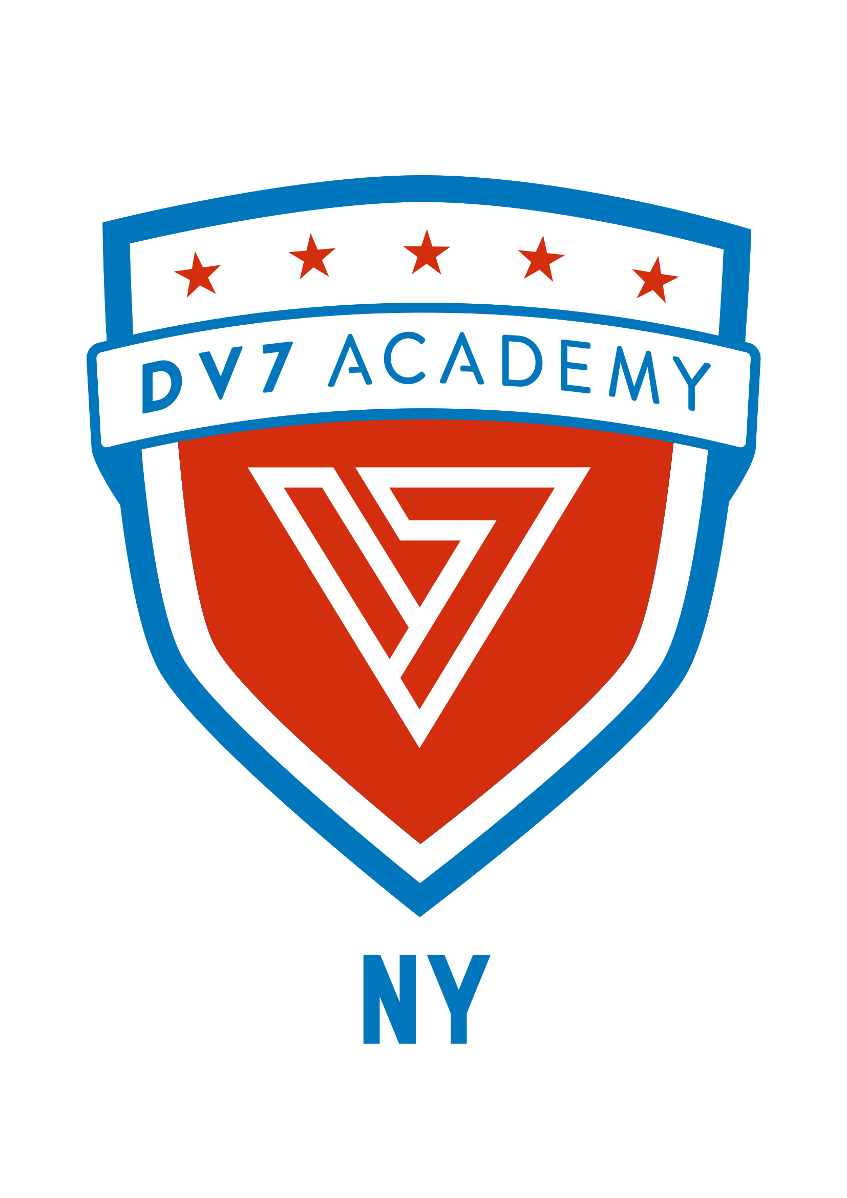 DV7 Academy logo
