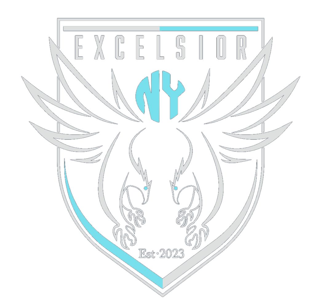 Excelsior New York Academy logo