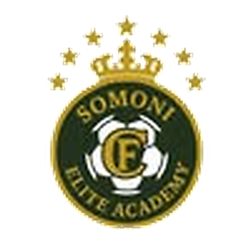 FC Somoni logo