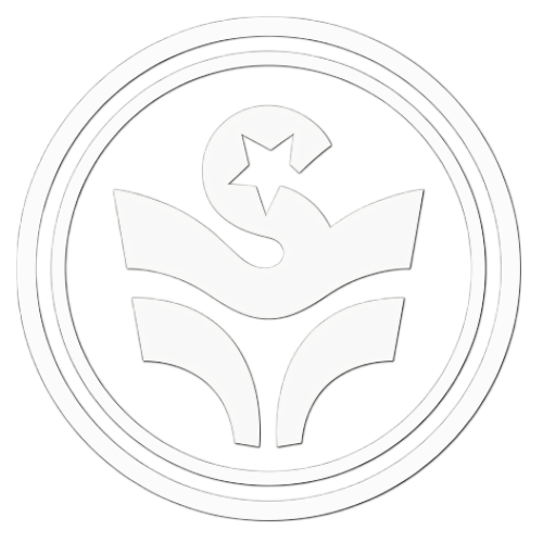 Future Stars Futbol logo