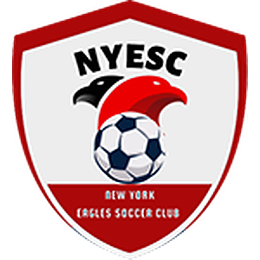 NY Eagles Soccer Academy logo