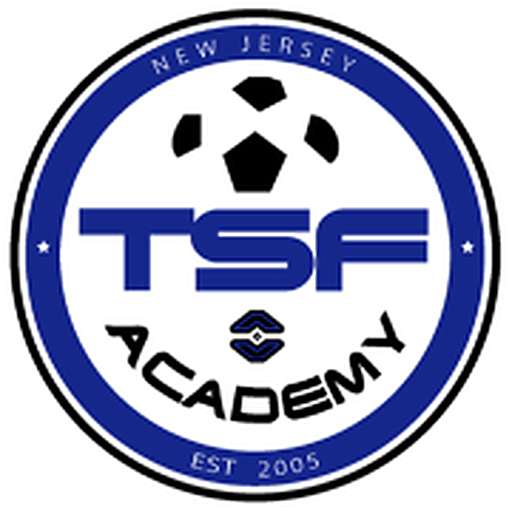 TSF Academy logo
