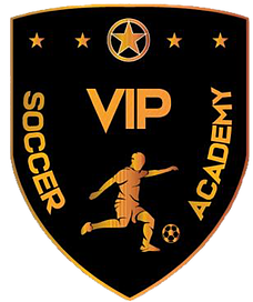 VIP Soccer Academy logo